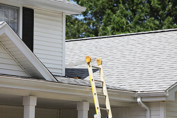 Best Wood Siding Installation  in Wolfe City, TX