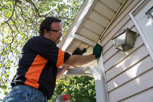 Best Stone Veneer Siding  in Wolfe City, TX